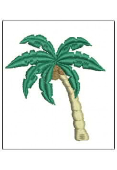 Plf072 - Coconut tree.